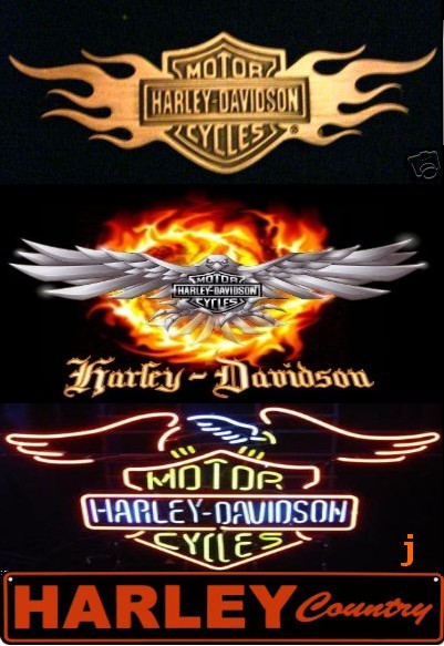 une de mes Passions